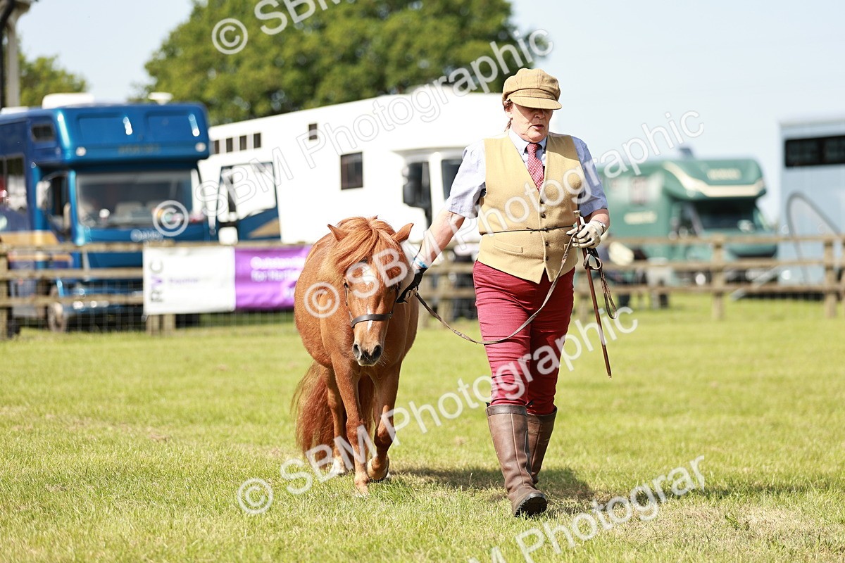 SBM_01750 - Class 14-23 - Mountain & Moorland In Hand Non Welsh