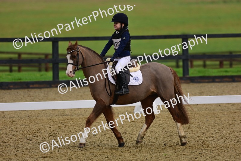 20260125-0652 - Class 9b - Walk Trot Unassisted