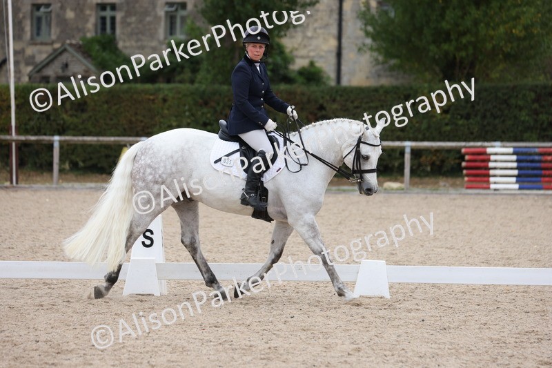 20250820-1162 - Class 17 - Elementary 4