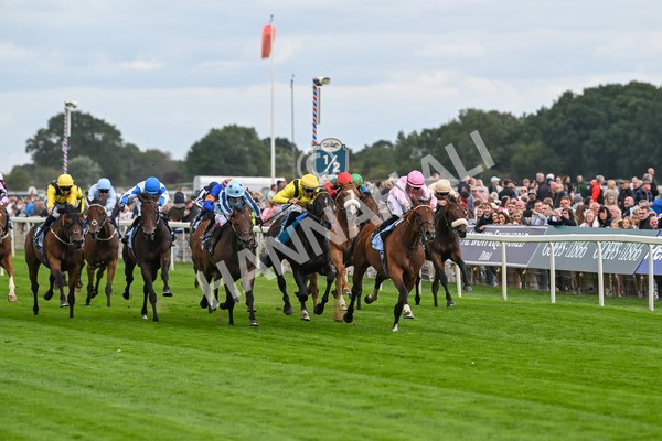 210825-Race 3-Bullet Point-4217 - Race 3 3.00pm Clipper Handicap