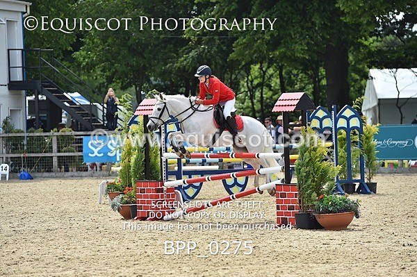 BPP_0275 - RHS 2019 Selection - *Just some random spectator shots so Lucky Dip if you are there!