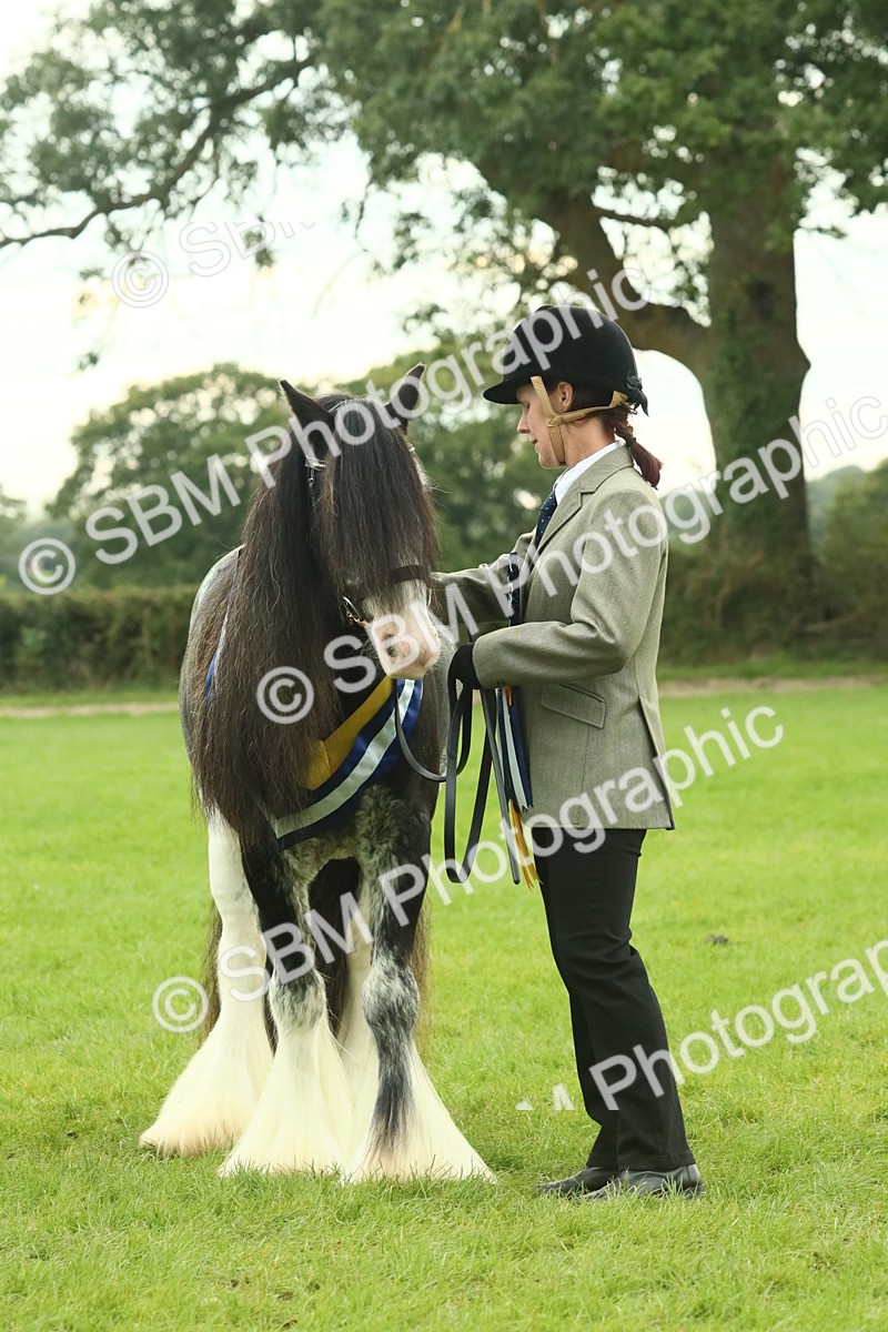 SBM_75176 - Super Supreme Championship