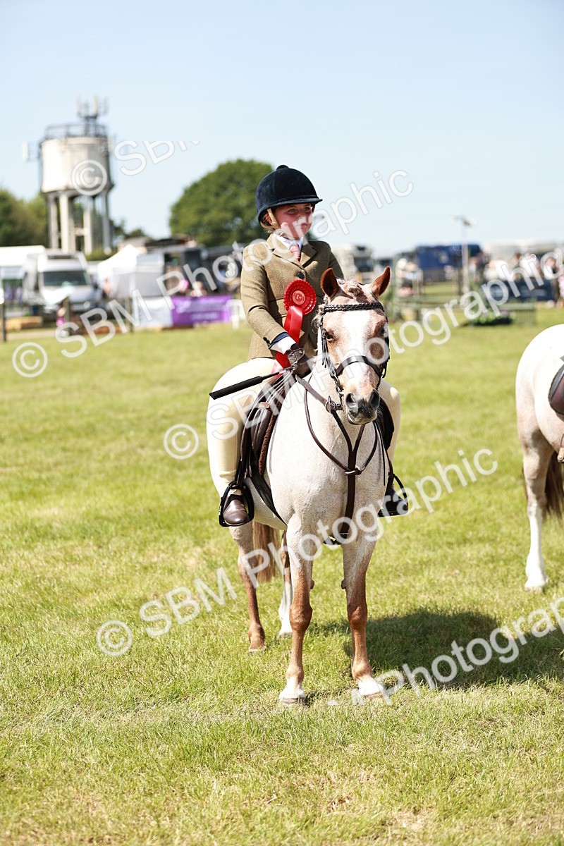 SBM_13647 - Class 108-109 - BSPS LIHS Open Gradle & Nursery Stakes