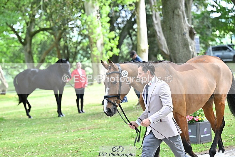 250521A-151251-00341 - B-353-Alexander.Bragg-JAEGER.MASTER