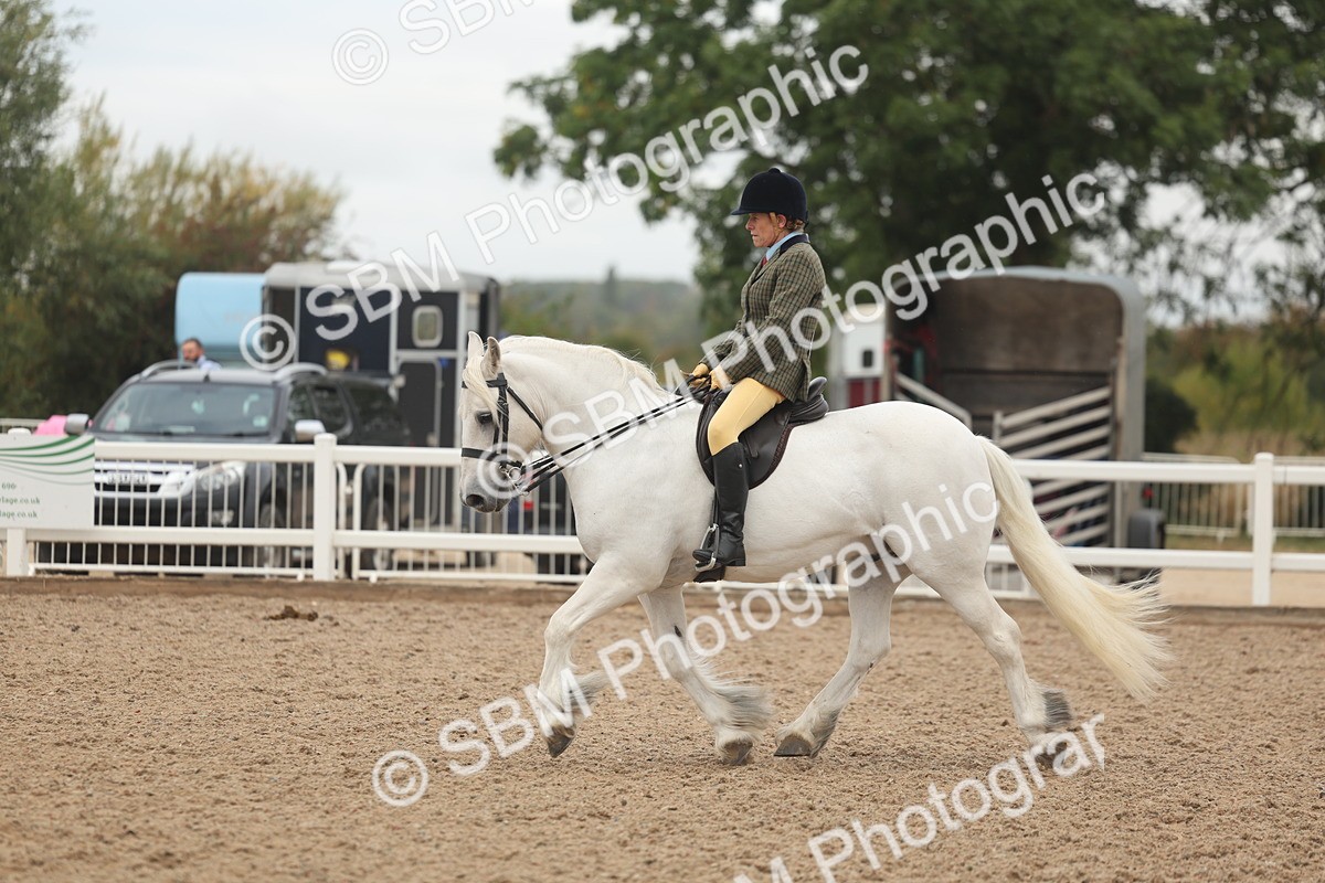 SBM_01921 - Class 14 - Ridden M&M Wildcard