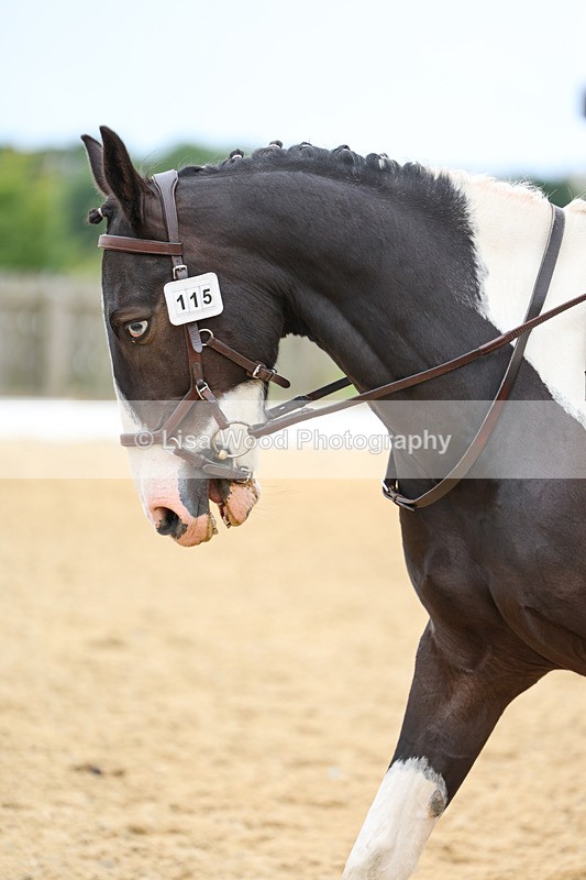 3E7A9341 - Class 2: Intro 1 2024 Section B