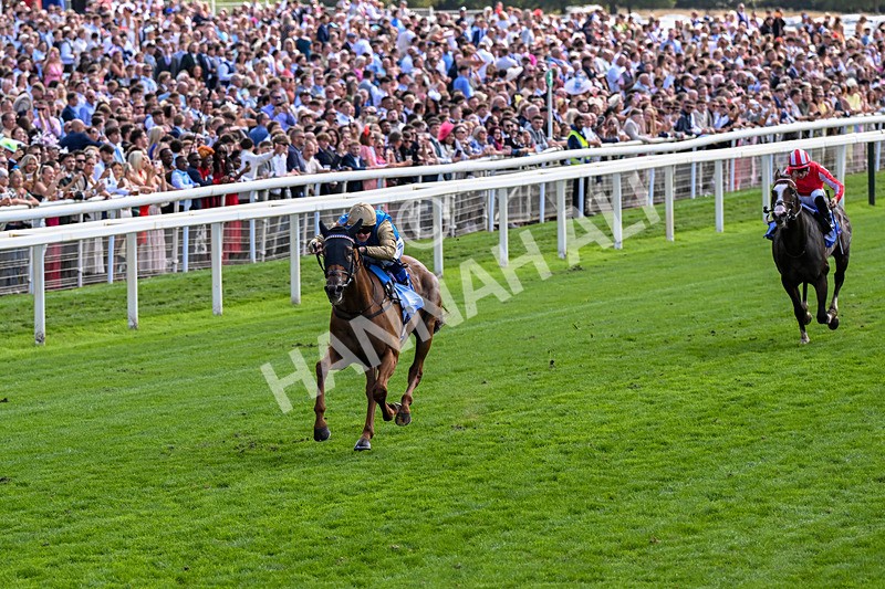 220826-Race 1-Archivist-0221 - Race 1 13.50pm Sky Bet Strensall Stakes