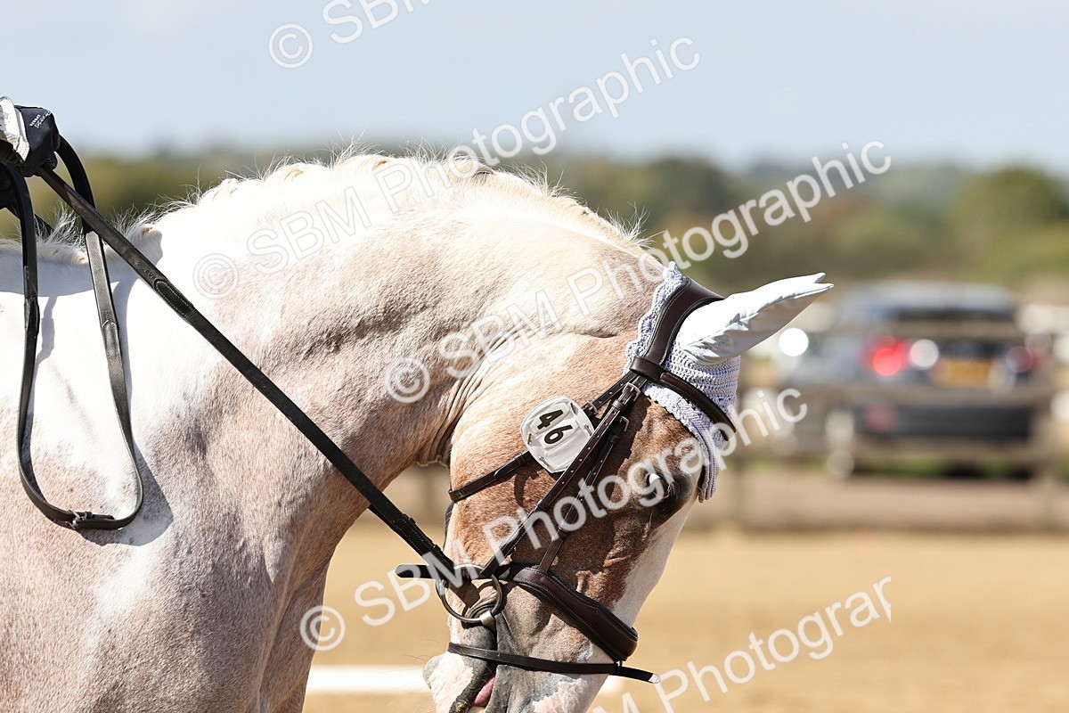 SBM_001018 - Class 46 - Novice 1 Combined Training