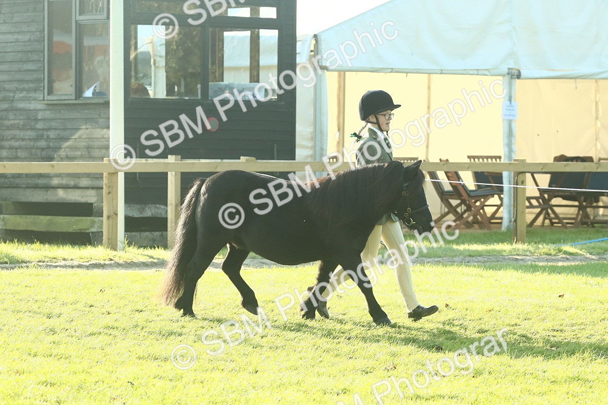SBM_57393 - S37 - Starters In Hand Showing