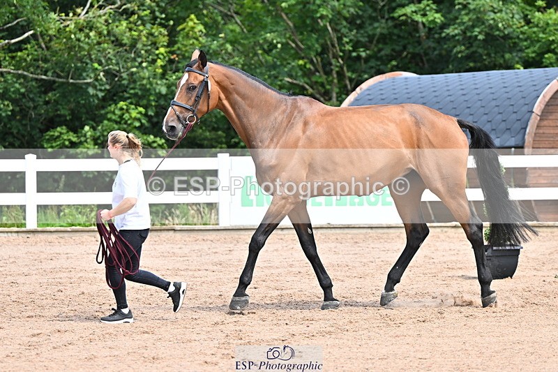 240718A-105247-01157 - Trot Up 12pm to 1pm