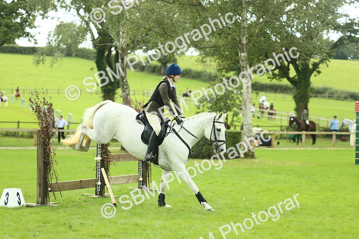 SBM_44723 - S31 - Working Hunter Pony
