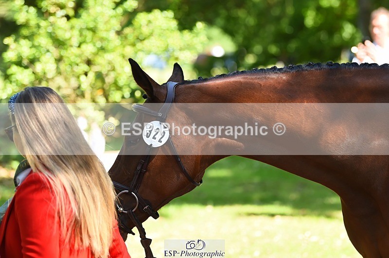 230524-152030-00216 - 322-CHANSON_DU_VILLAGE-Phoebe_Locke-WEDTrotUp+DR