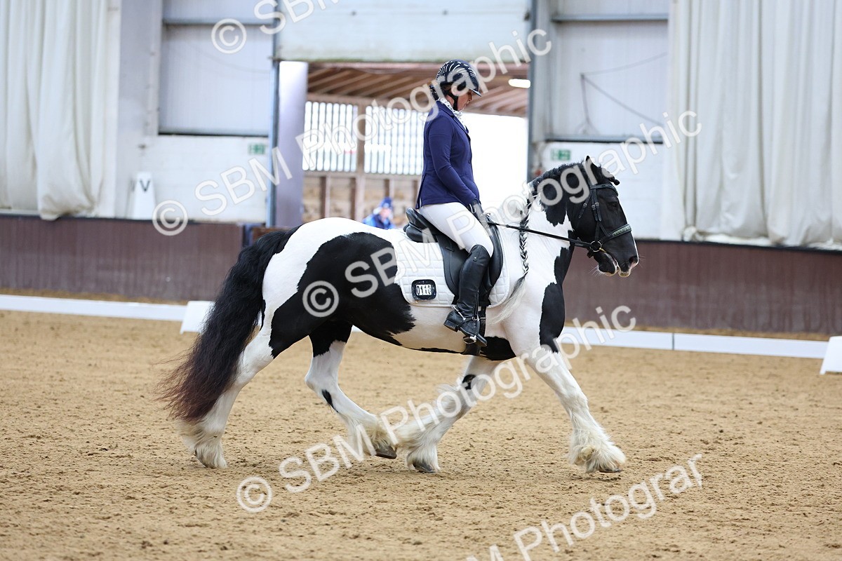 SBM_002265 - Novice 2