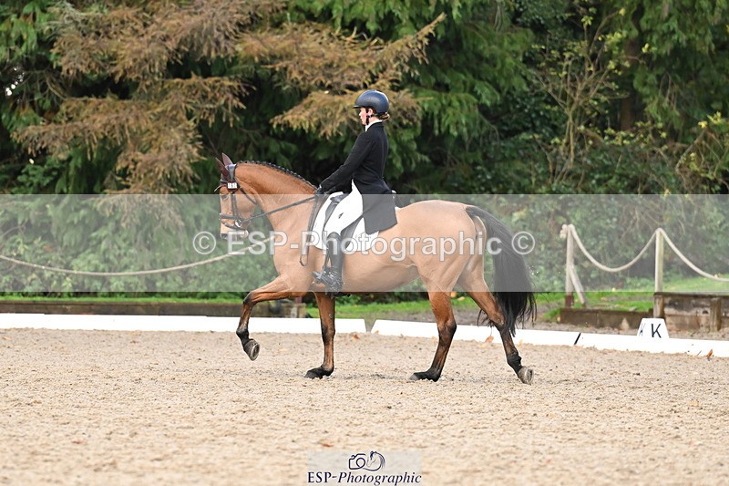 251023A-160642-05997 - B-167-Tabitha.Taylor