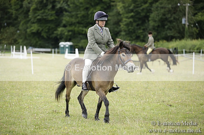 BVR160717-1302 - Ring 1 BVRC Show 16/07/17