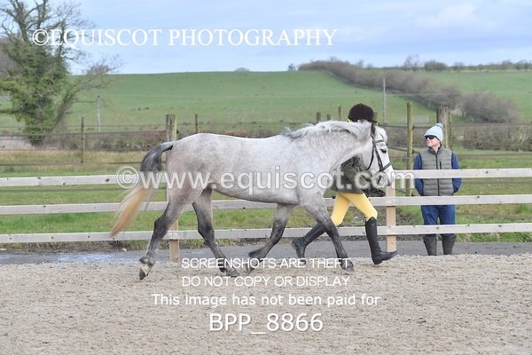 BPP_8866 - RING 2 - M&M