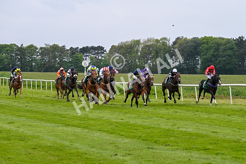 160526-Race 6-Empire Of Light-9955 - Race 6 4.47pm Sky Bet Club Handicap
