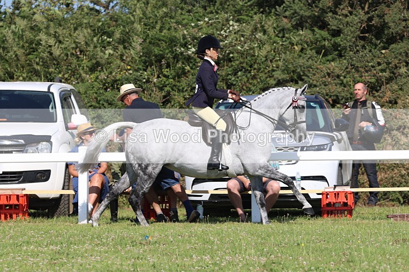 JPP_1907 - Class 19: Cornish Combination Open