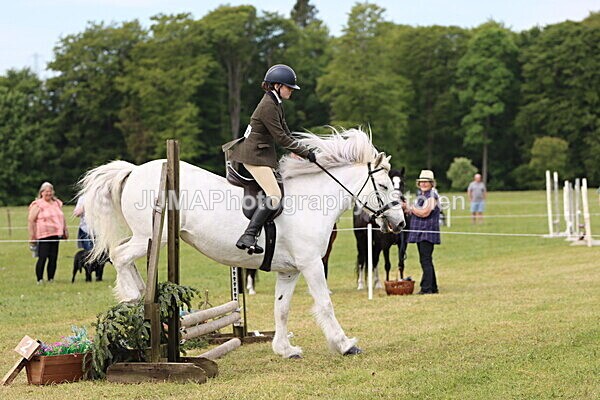 IMG_2498 - Working Hunter