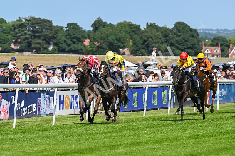 300724-Race 3-Forager-9343 - Race 3