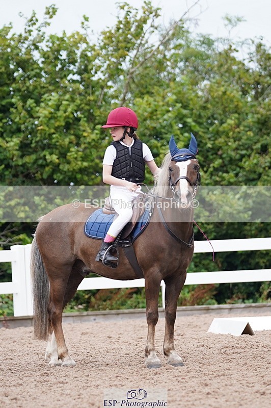 240809A-104240-00636 - Dressage Competition