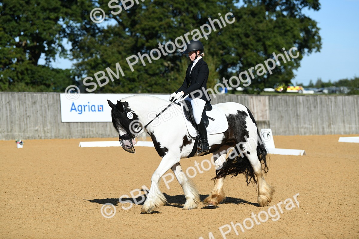 SBM_16281 - D4 - Small Tour Championship - Intro B