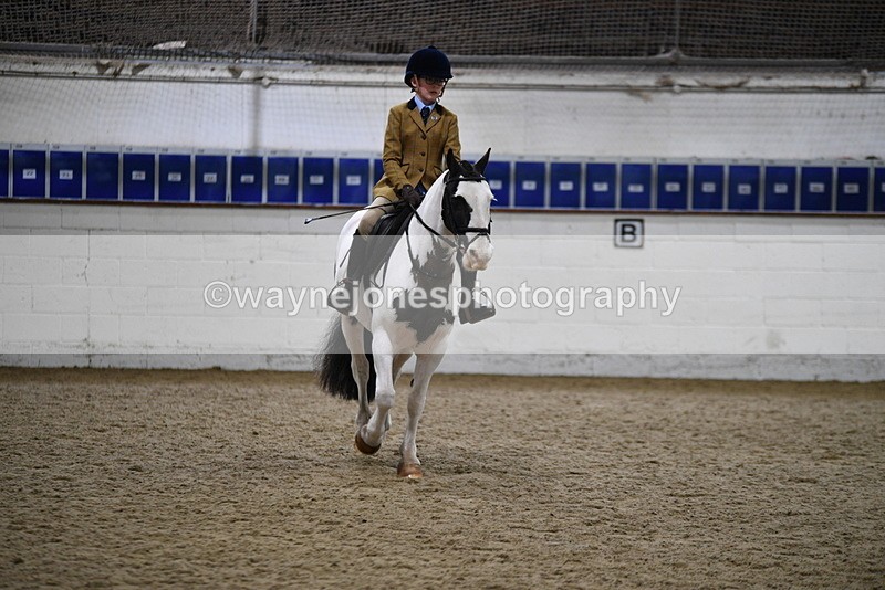 WJ5_7317 - Class 11 Ridden PC - RC Pony
