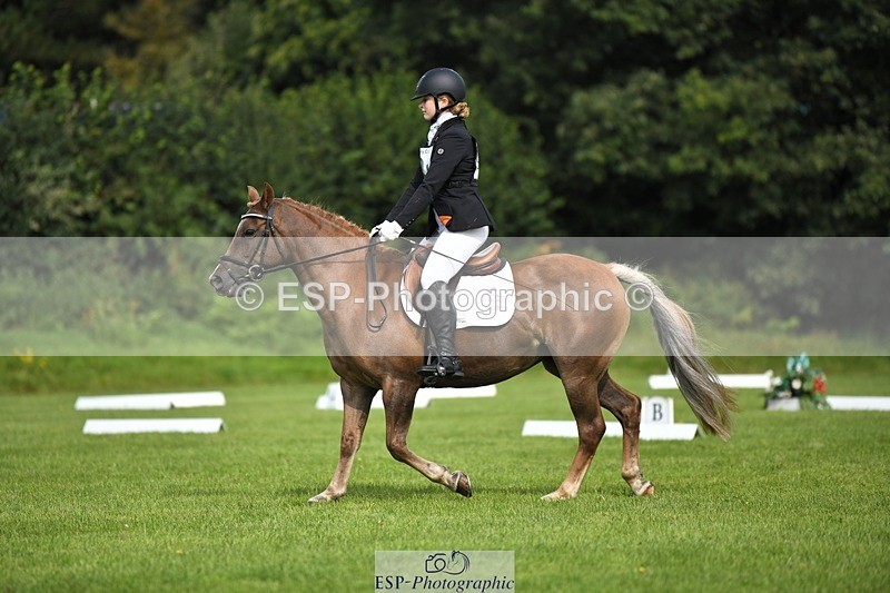 230826-104655-15611 - Sections C & D 10 to End