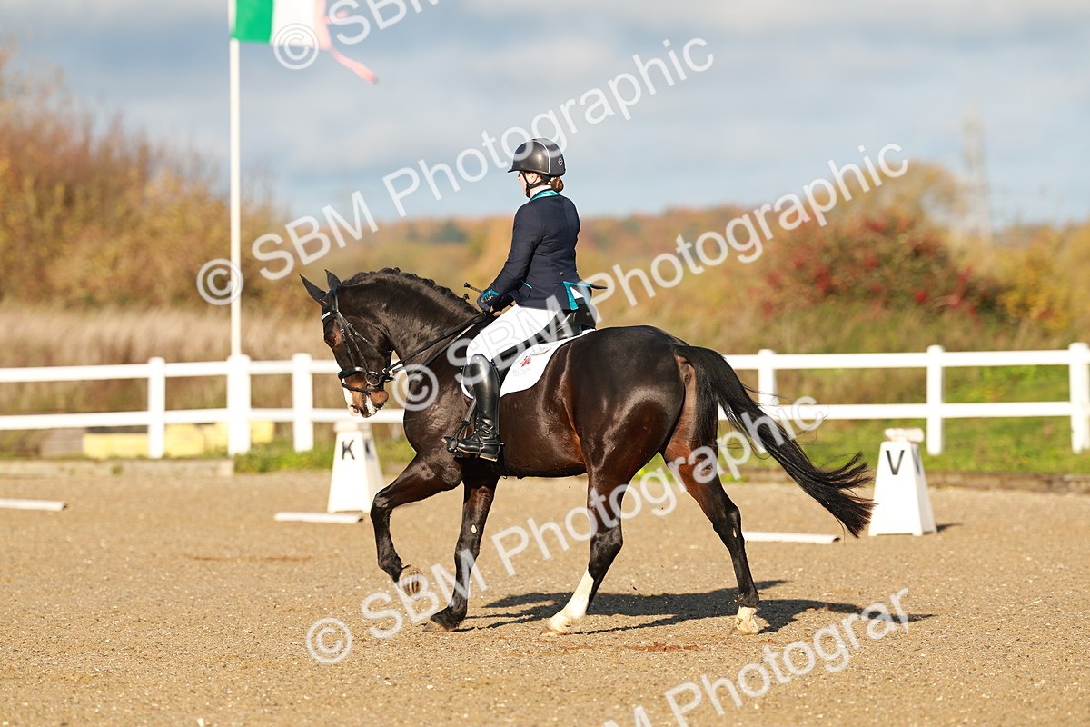 SBM_000294 - Prelim 4