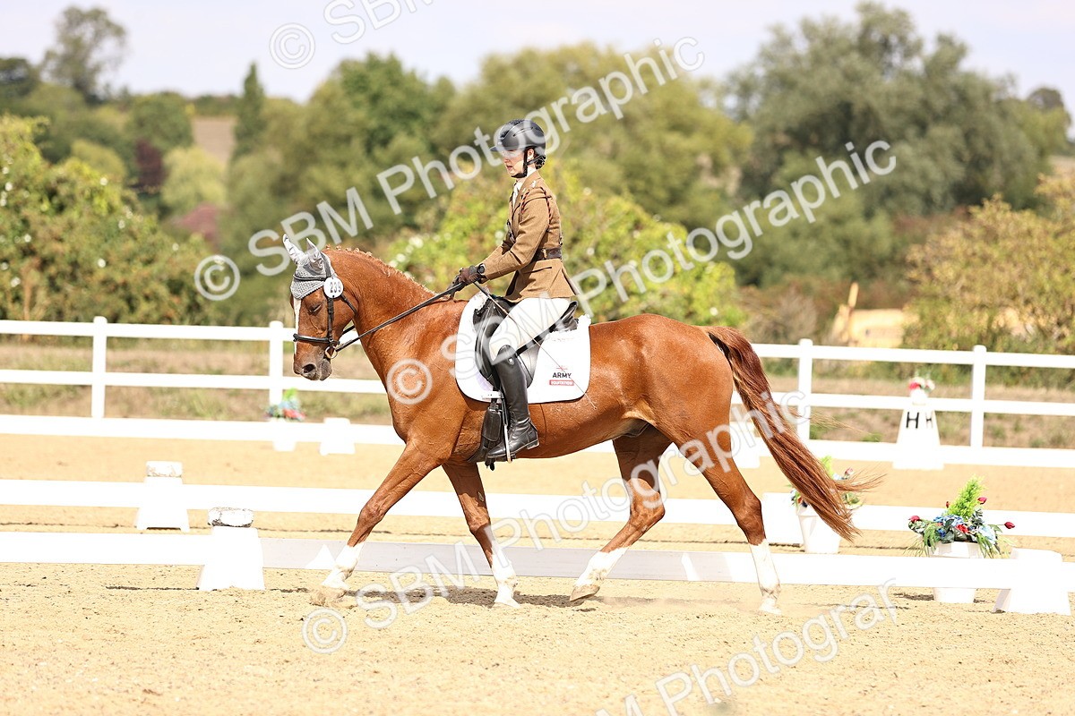 SBM_014971 - Class 6 - Elementary 5