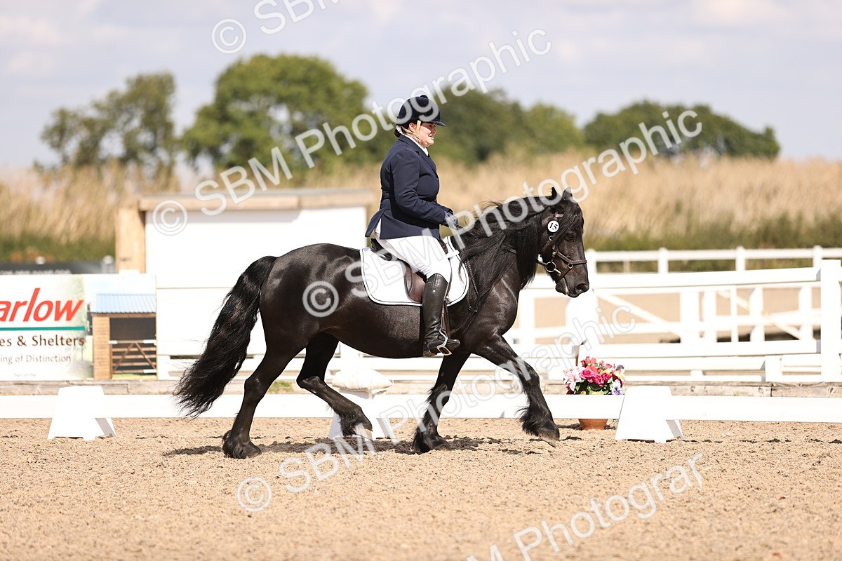 SBM_03697 - CLass 35 Intro 3