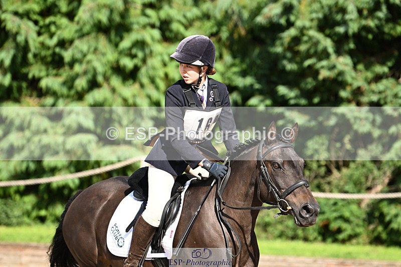 240824X-155907-29831 - 80cm Round 2 15.30 to 16.50