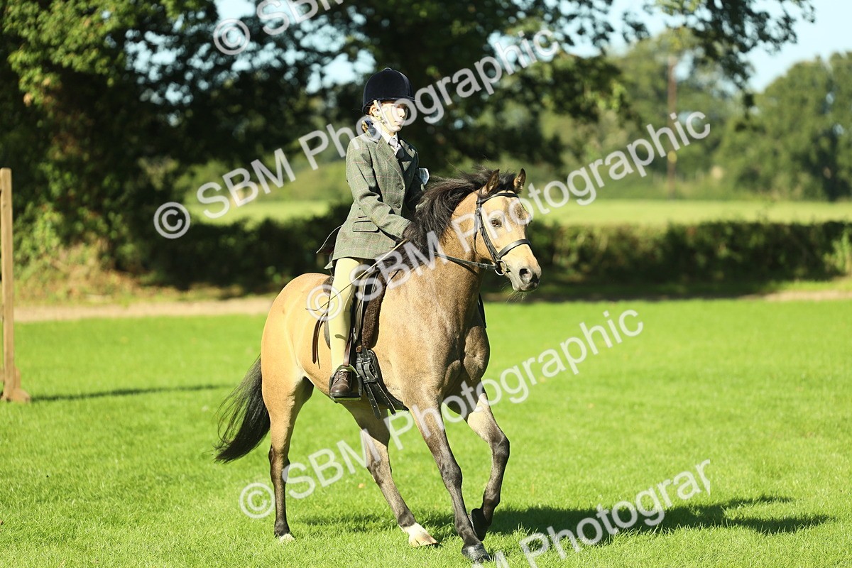 SBM_36507 - S29 - Novice & Newcomers Working Hunter Pony