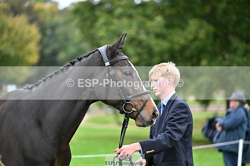 251022A-160556-00687 - A-008-Tommy.Marsden