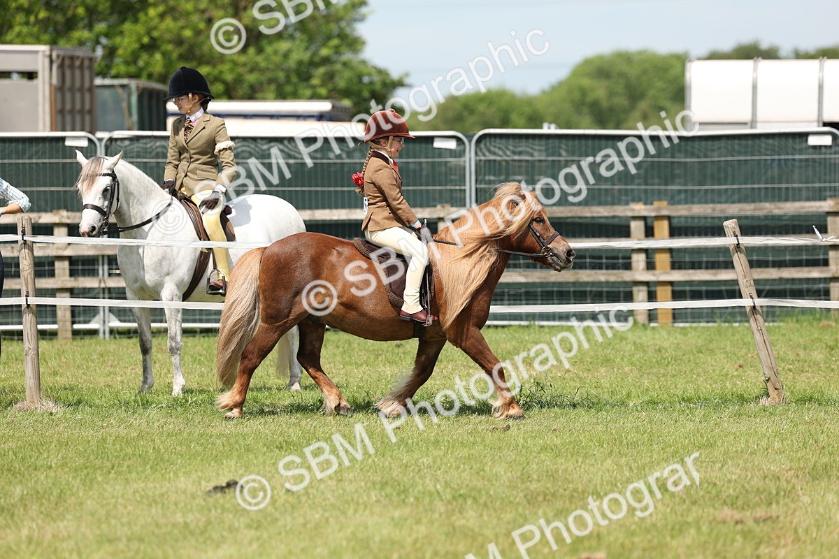SBM_05328 - Class 24-25 - Mountain & Moorland In Hand Lead Rein and First Ridden