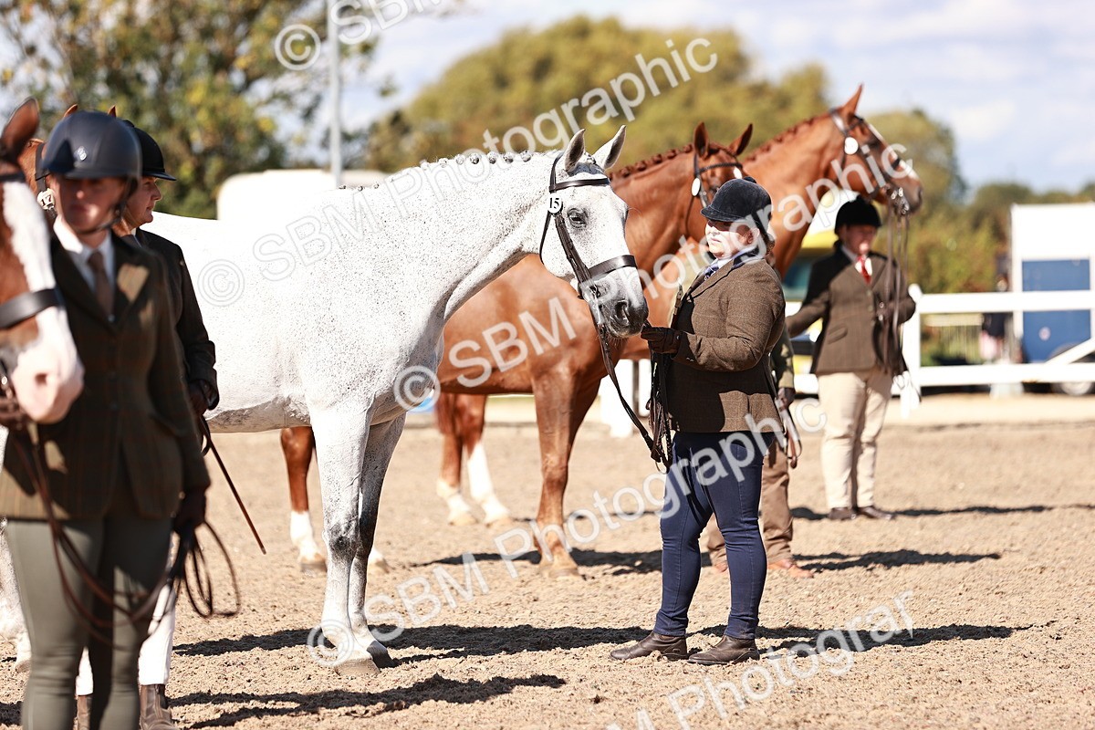 SBM_13334 - class 406 - IH Hunter
