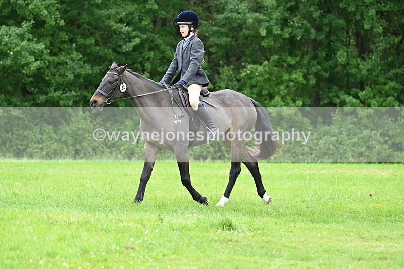 WJ7_4488 - Class 14B Prettiest Mare