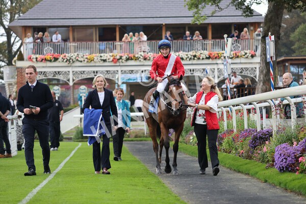 yr09102021r2-26 - Race 2 2.02pm Coral Beaten-By-A-Length Free Bet Rockingham Stakes