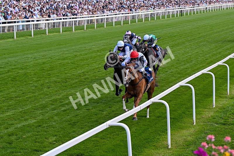 230526-Race 4-Danielle-0490 - Race 4 15.15pm William Hill Bronte Cup Fillies' Stakes