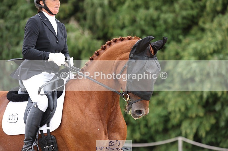 230813-132506-07333 - Cls 11 Elem Bronze 13.15 to 14.10 break