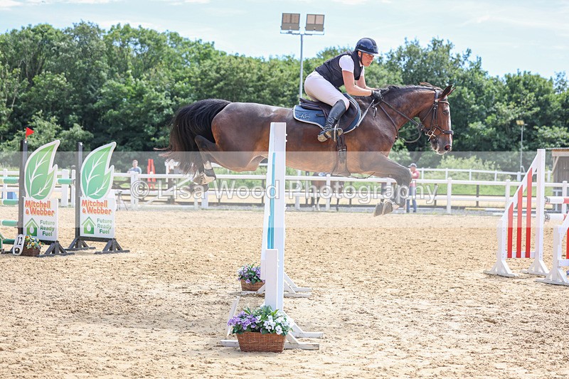 3E7A7604 - Class 9: Senior Foxhunter/1.20 open
