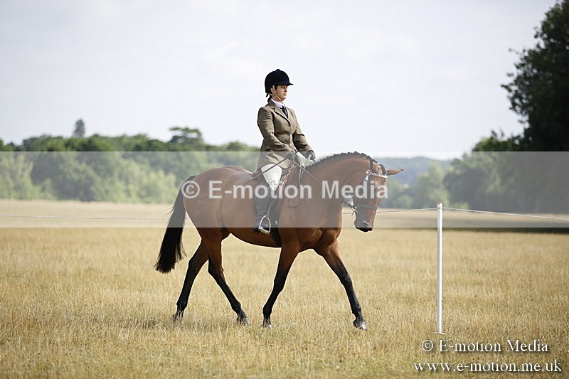 _C7A9275 - BVRC Show 2018 Ring 1