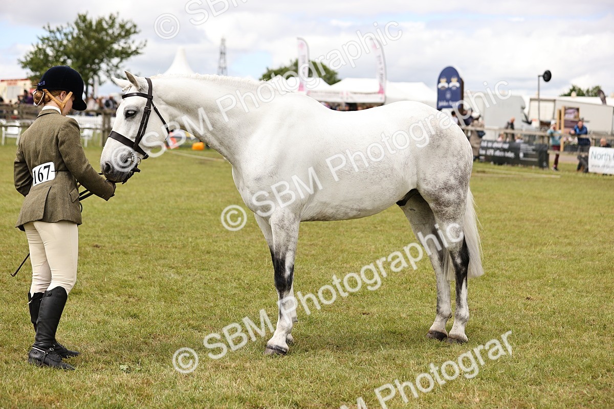 SBM_14615 - Class 88-89 - LIHS BSHA Rising Star of Ridden Hunter Type