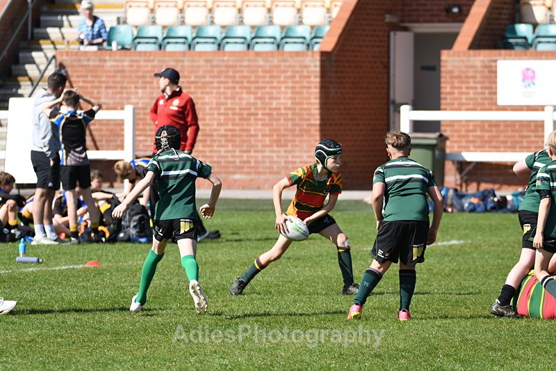 - Selby Rugby Festival 2025