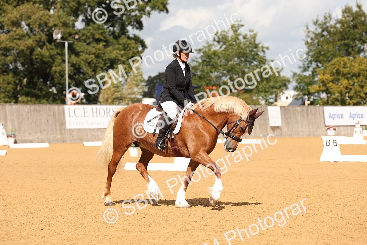 SBM_19507 - D10 - Small Tour Championship Prelim 2