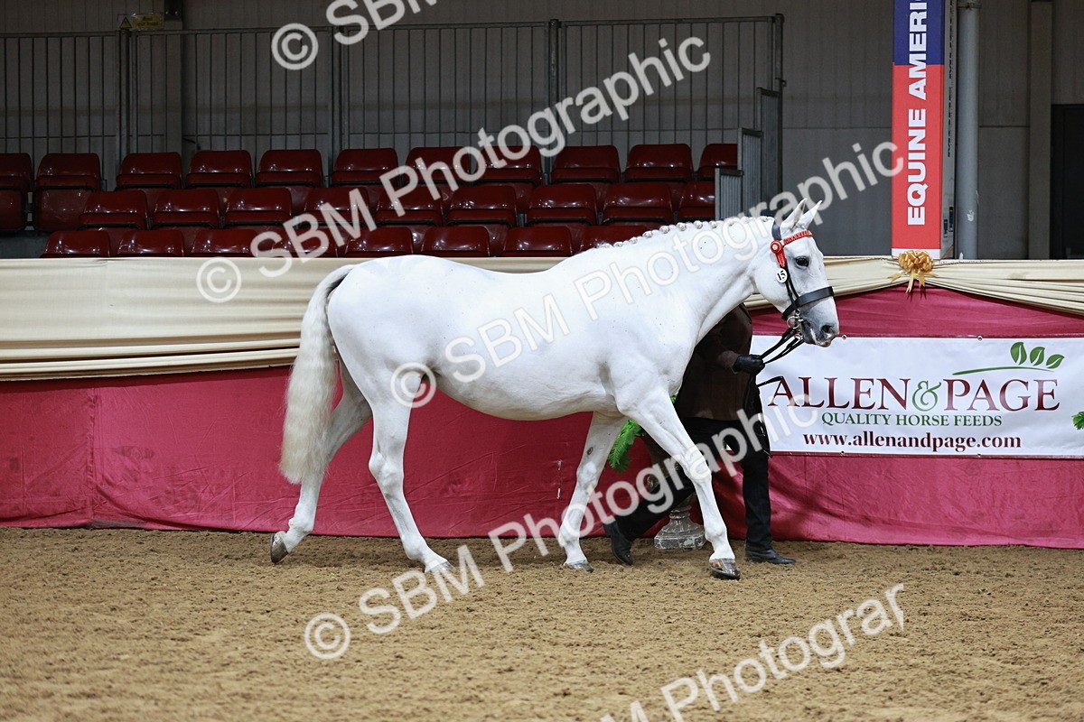 SBM_01125 - Class 3A - Area IH Pre-Vet