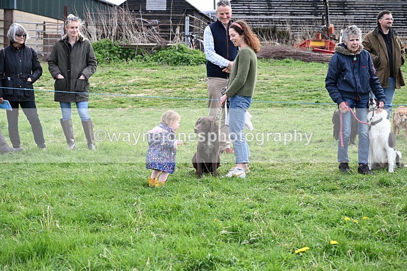 WJ6_8564 - Class 6 Best Rescue