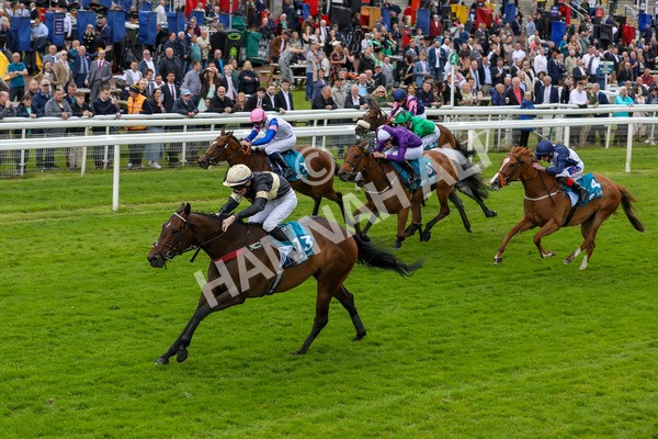 140624-Race 3-Alfa Kellenic-5609 - Race 3 3.00pm British EBF Supporting Racing With Pride Fillies' Handicap