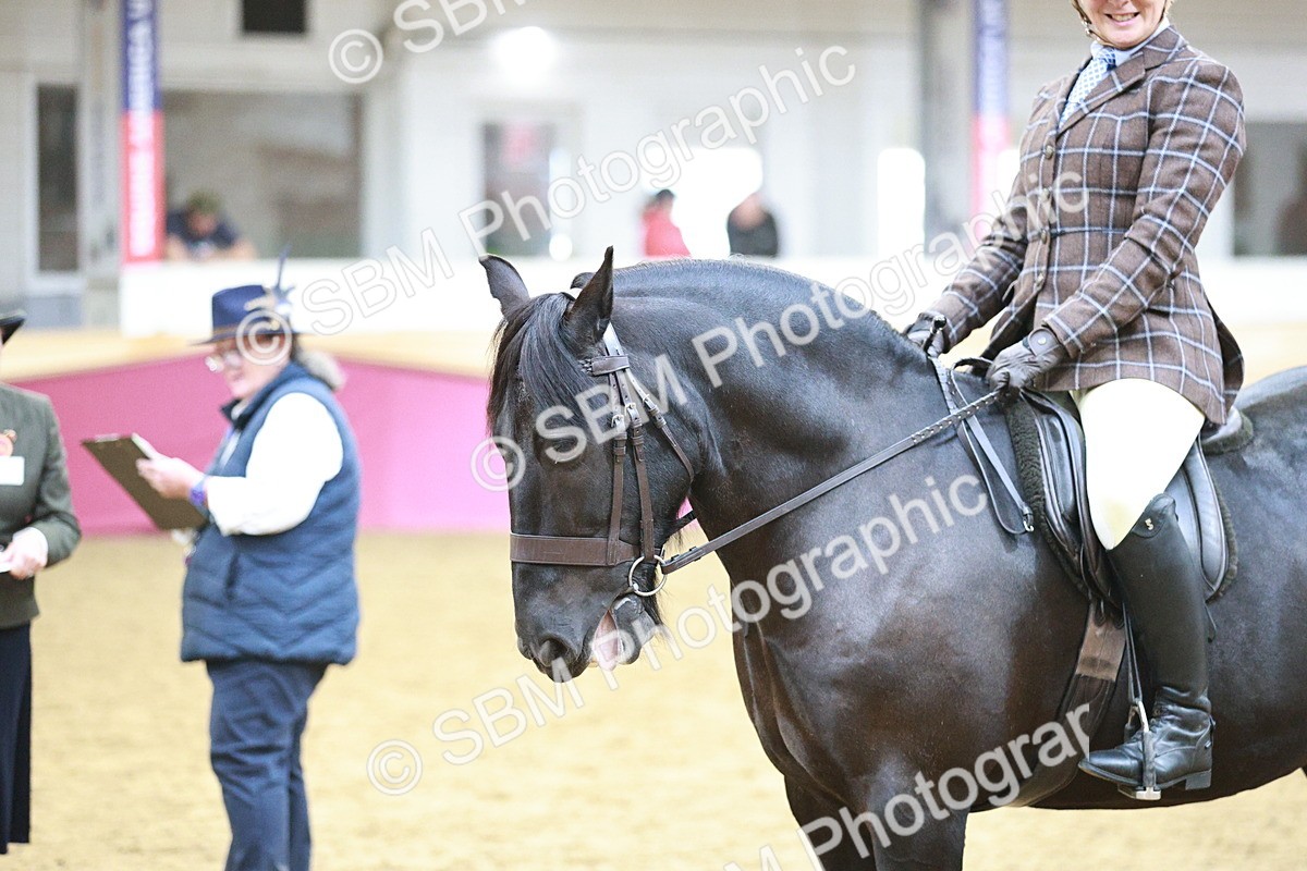 SBM_08877 - Class 12R - Regional Ridden Pre-Vet