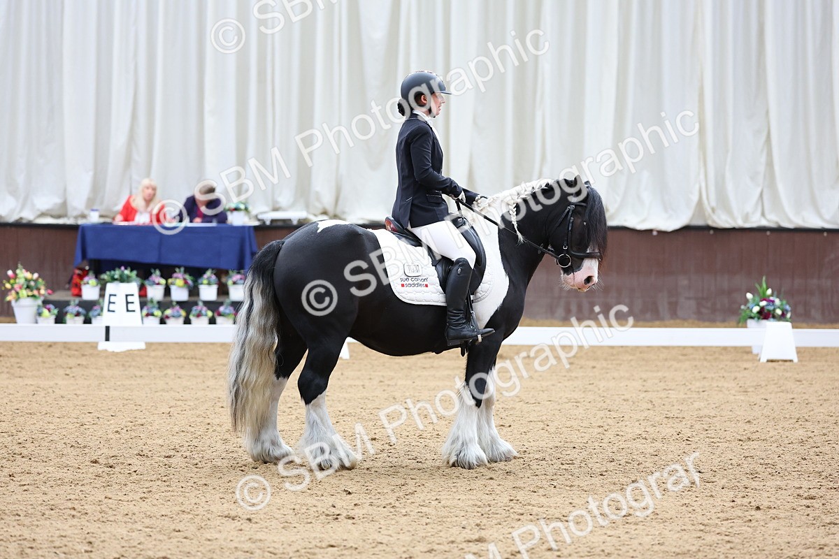 SBM_015987 - Class 15 - Novice FSM - 9.50 - 11.10